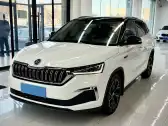 2023 SKODA KAMIQ,autocango,china used car exporter,china ev exporter,chinese used car exporter,chinese used ev exporter