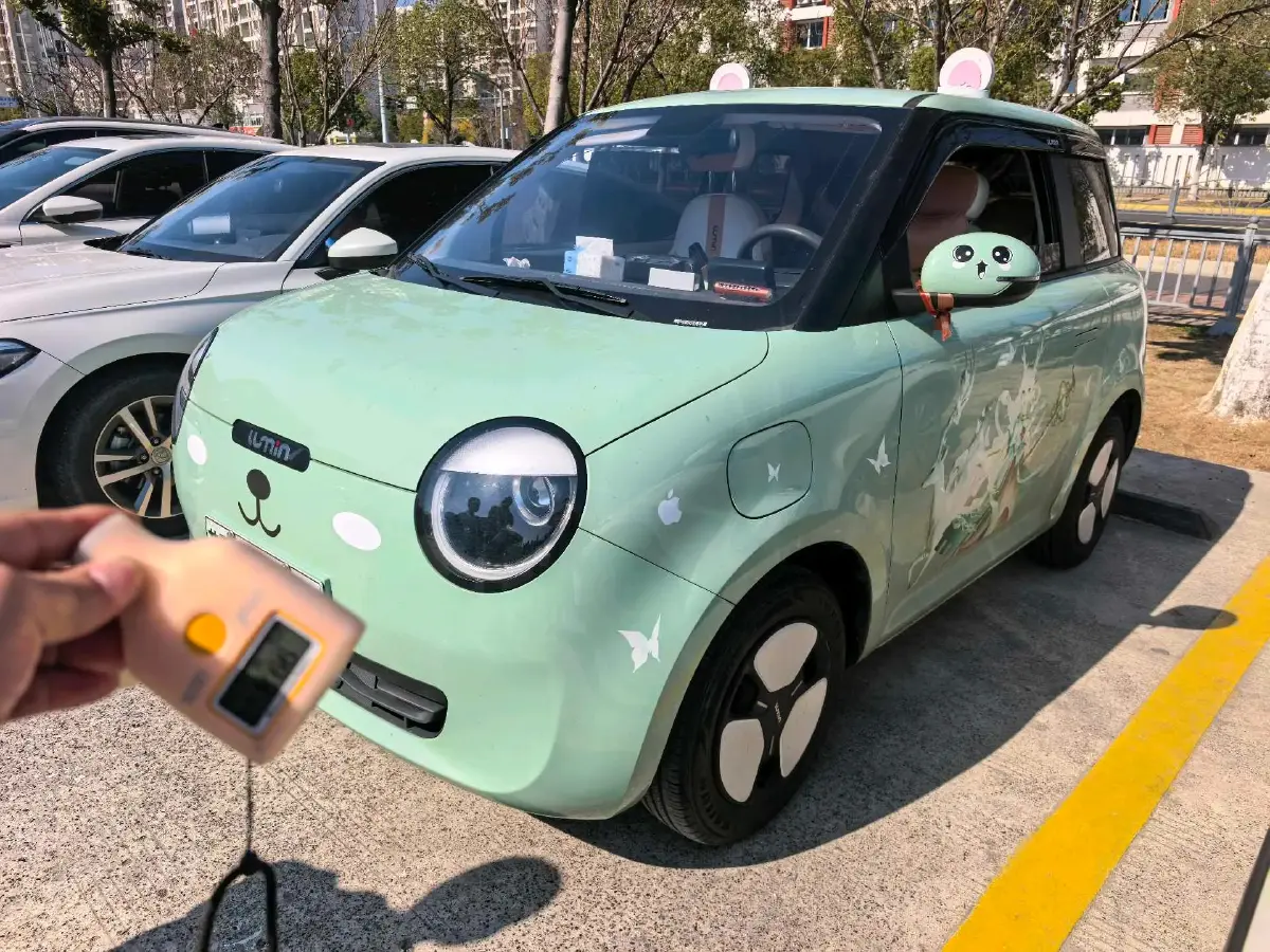 2022 Levdeo Mango BEV 17.28KWH