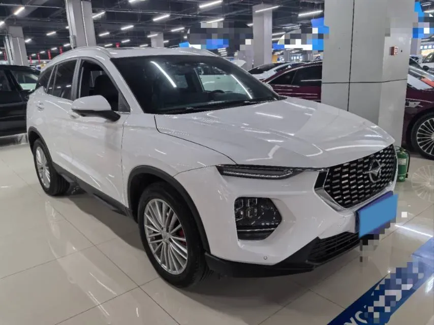 2020 HaiMa 8S 1.6T 195HP L4 6AT,autocango,china used car exporter,china ev exporter,chinese used car exporter,chinese used ev exporter