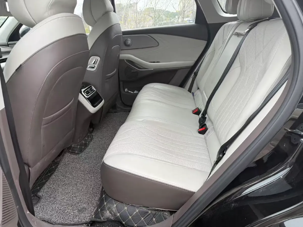 2024 Exceed RX C-DM 1.5T 156HP L4 3DHT PHEV 19.43KWH,autocango,china used car exporter,china ev exporter,chinese used car exporter,chinese used ev exporter