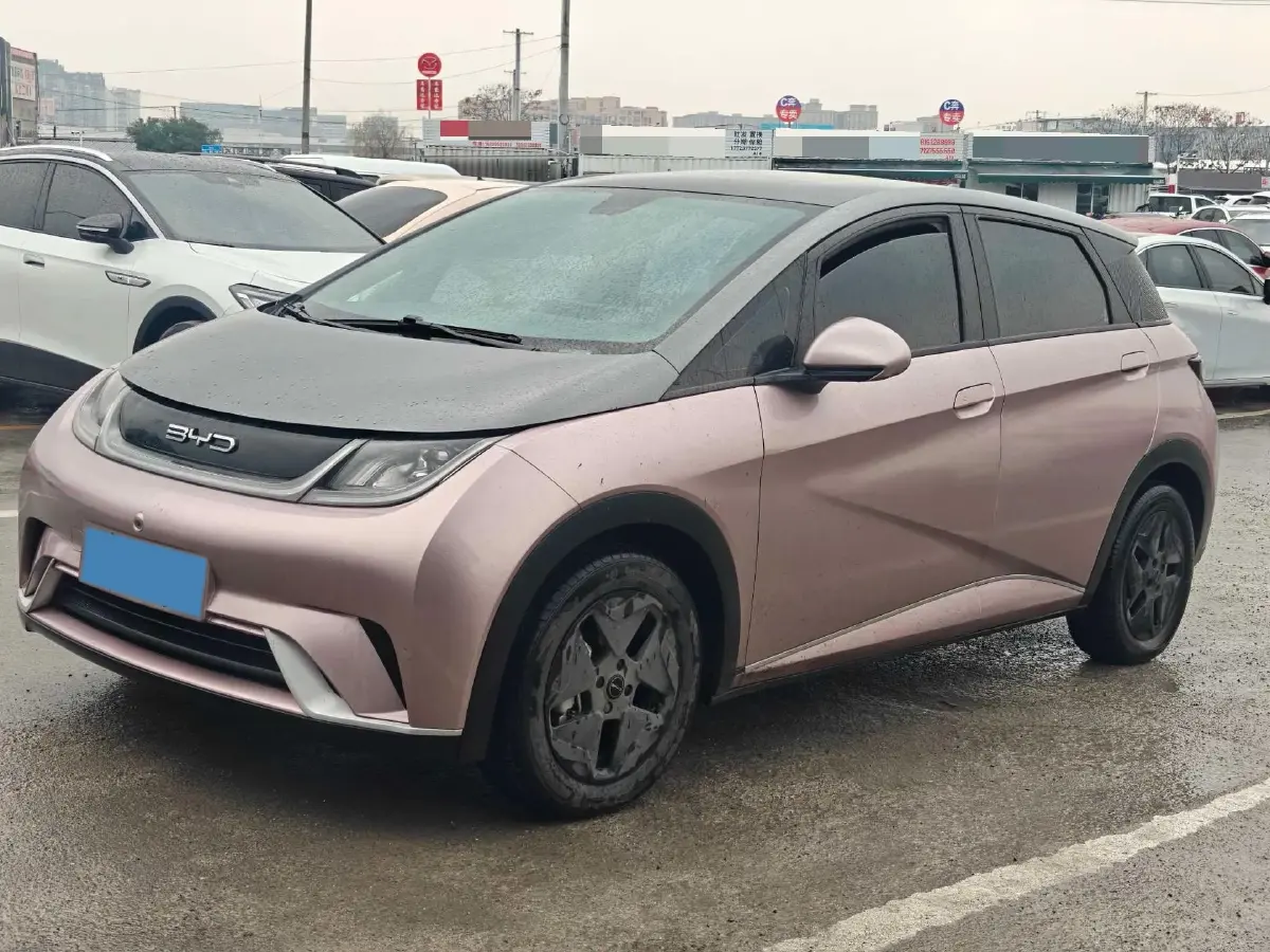 2021 BYD Yuan Pro BEV 50.1KWH