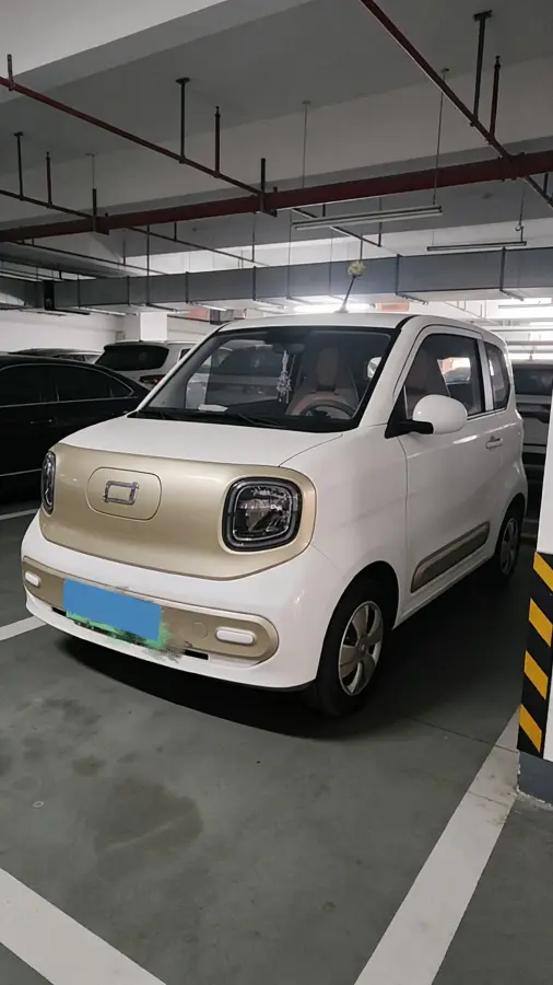 2024 Bestune Pony BEV 13.9KWH