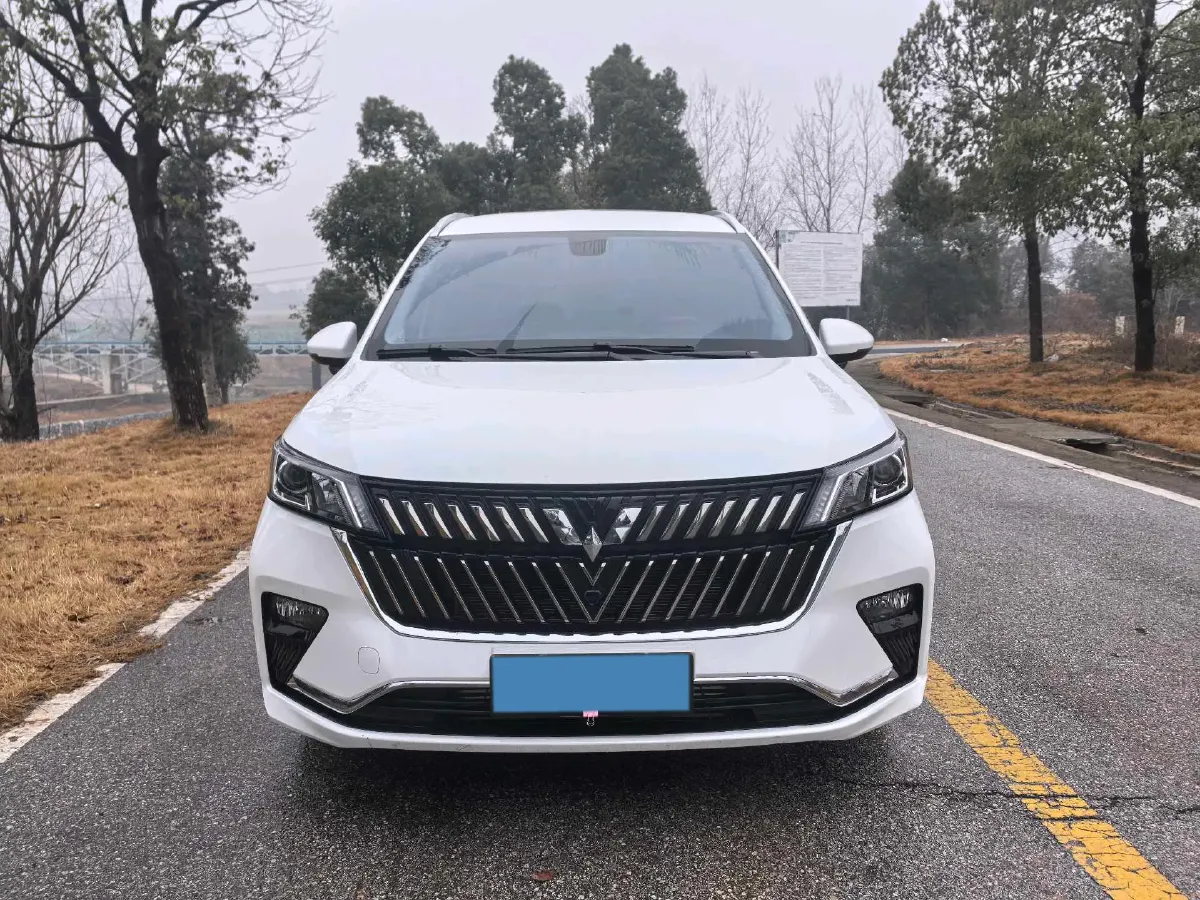 2022 Venucia T60 1.6L 126HP L4 CVT,autocango,china used car exporter,china ev exporter,chinese used car exporter,chinese used ev exporter