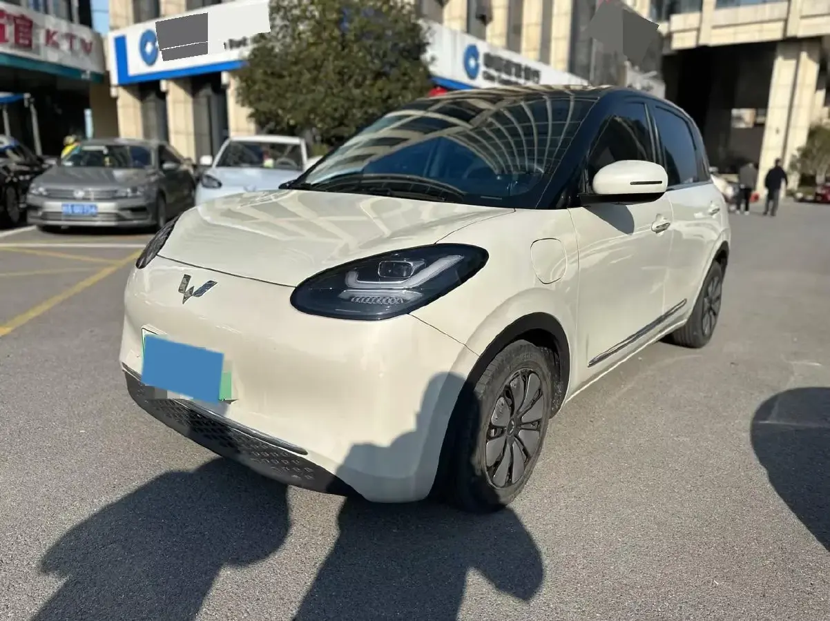 2023 WuLing BinGuo BEV 31.9KWH