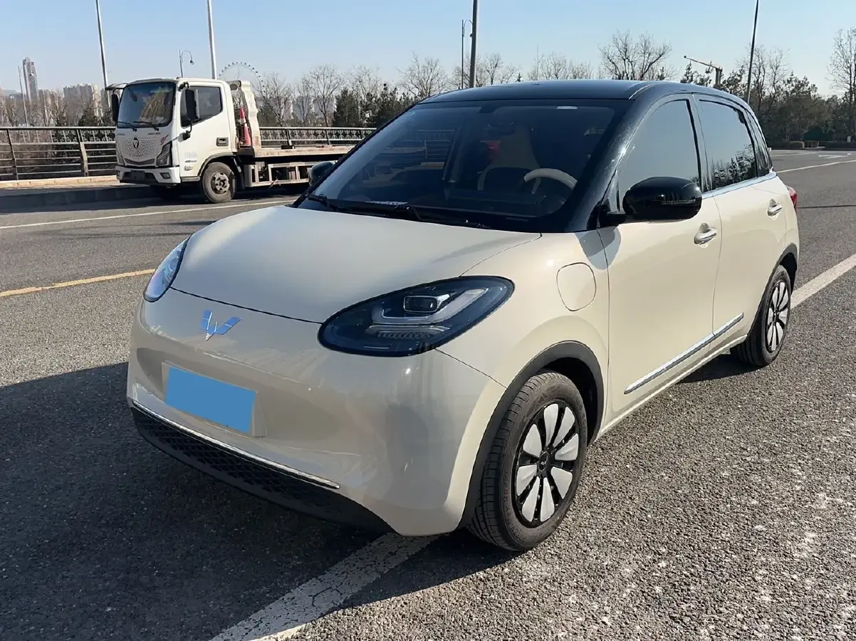 2024 WuLing BinGuo BEV 31.9KWH