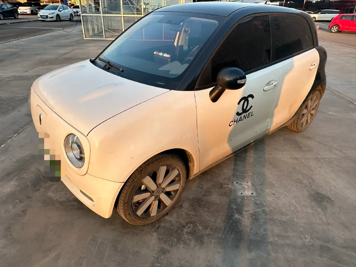 2019 Ora BlackCat BEV 33KWH