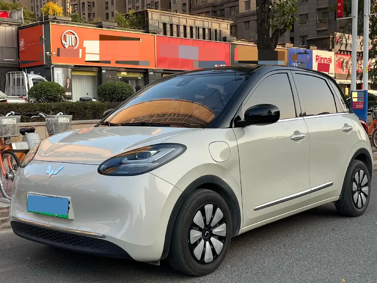 2023 WuLing BinGuo BEV 31.9KWH
