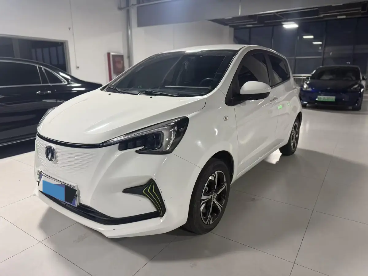 2023 ChangAn BenBen E-Star BEV 30.95KWH