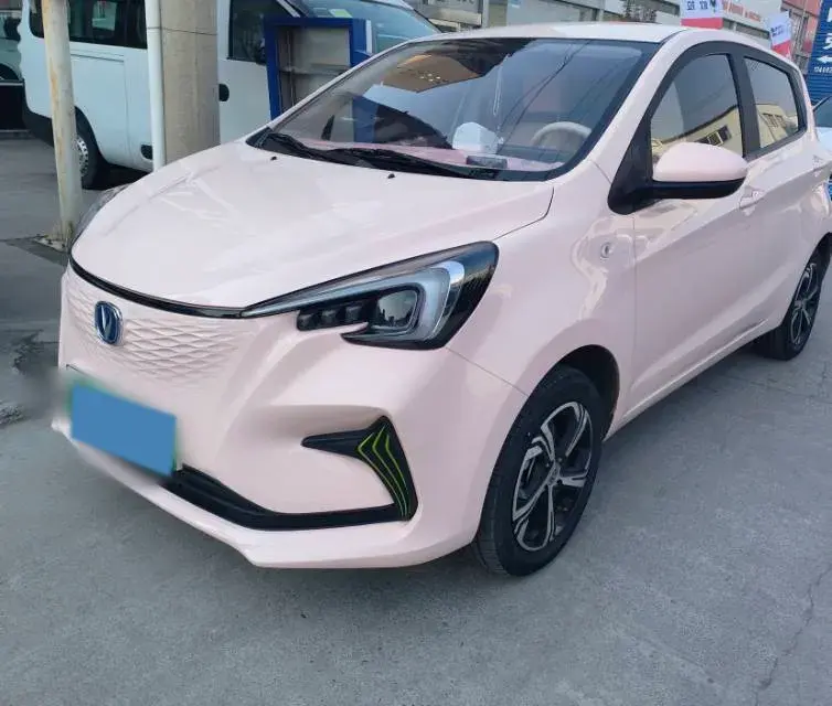 2022 ChangAn BenBen E-Star BEV 31.95KWH