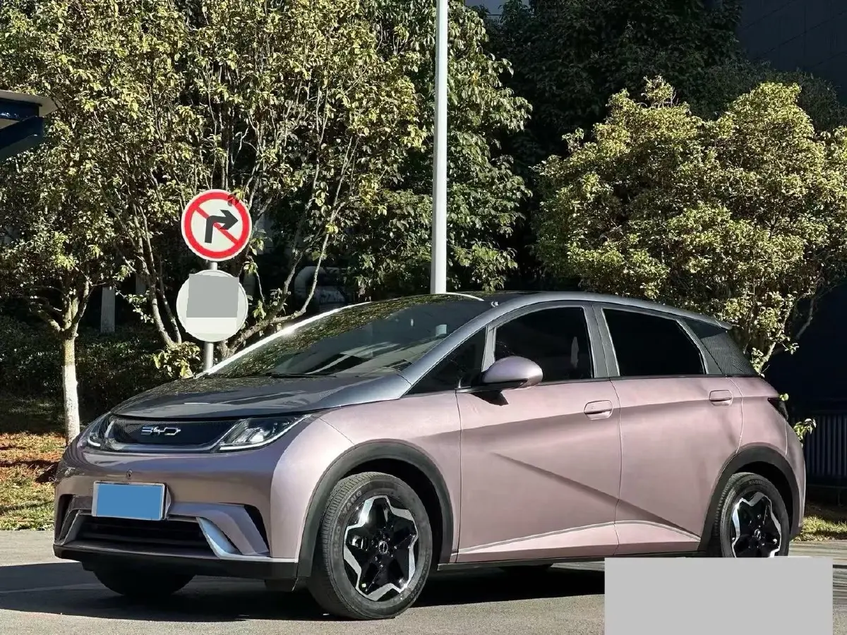 2021 BYD Yuan Pro BEV 50.1KWH