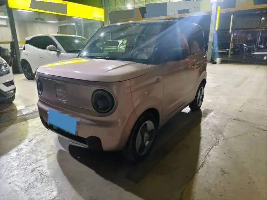 2023 Geely Galaxy Panda BEV 17.03KWH