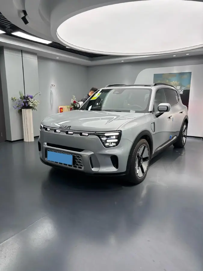 2024 Smart smart Elf 5 BEV 76KWH