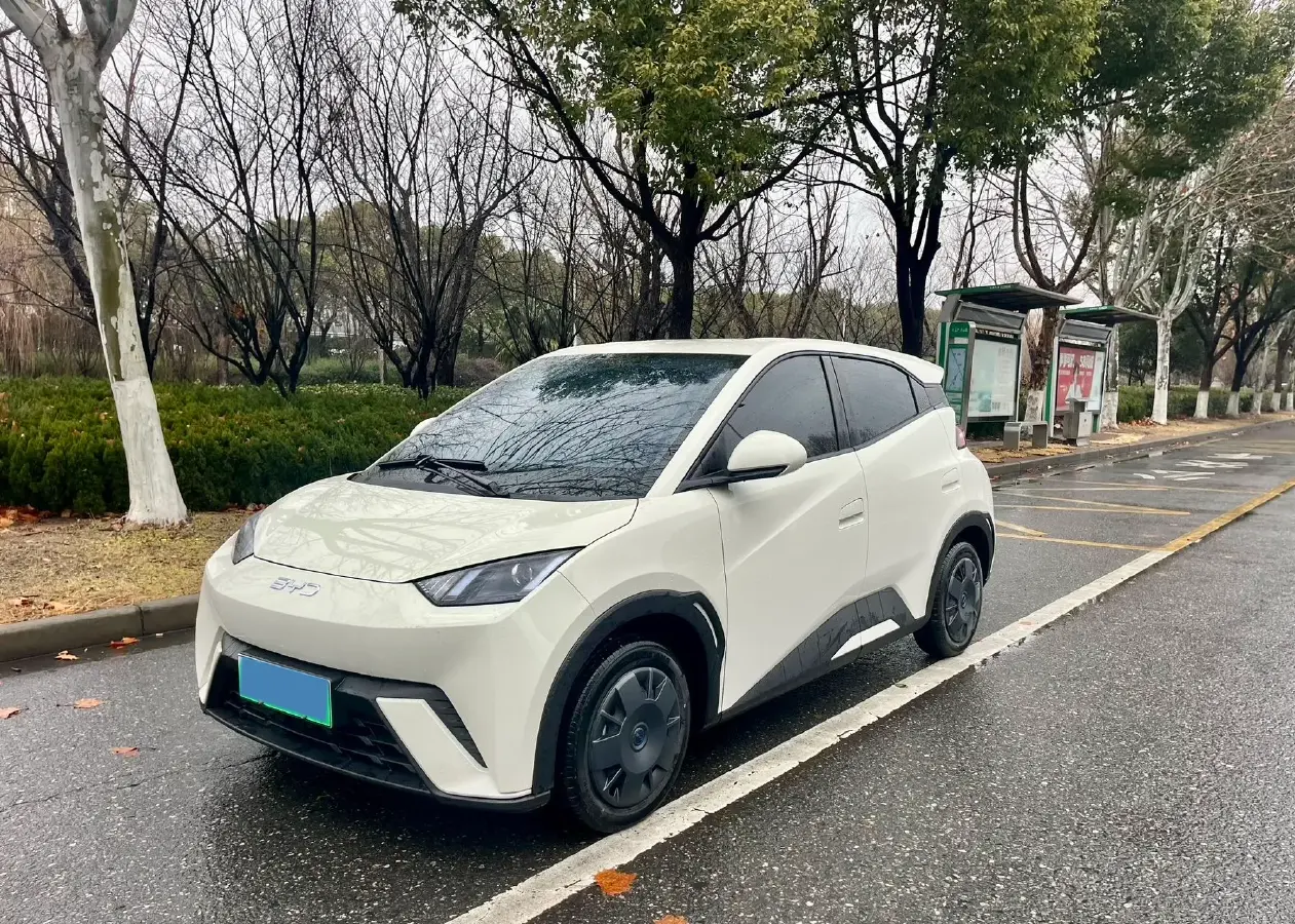 2024 BYD Seagull BEV 30.08KWH