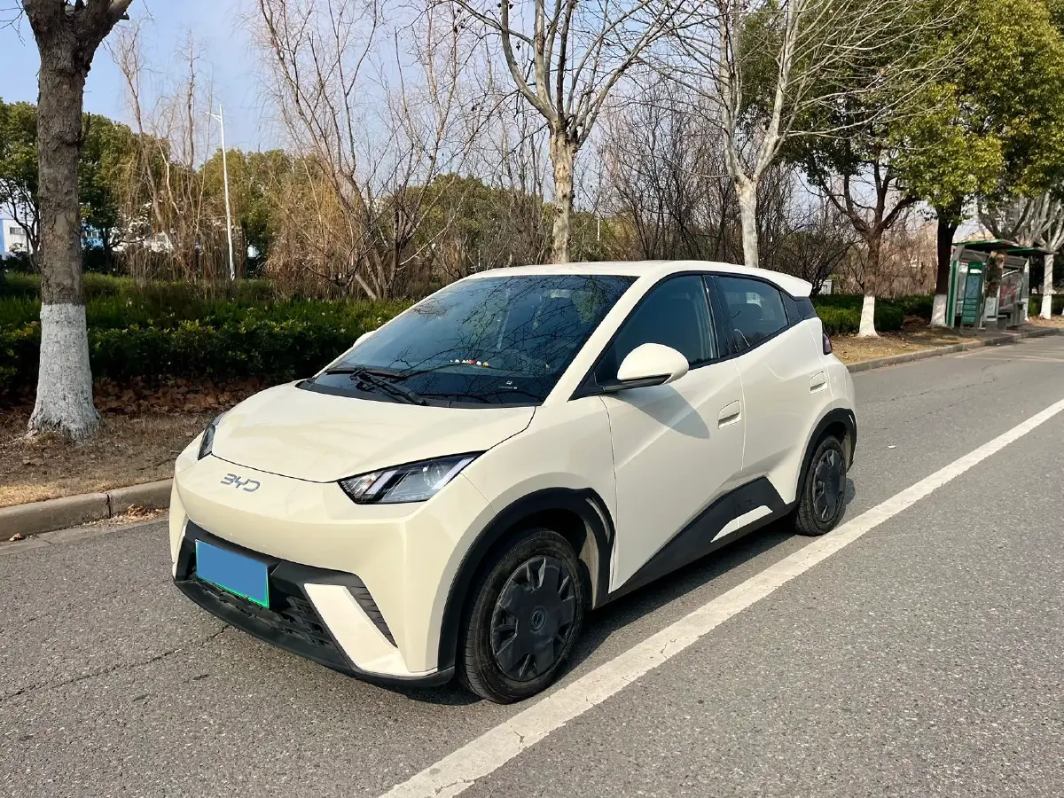 2025 BYD Seagull BEV 30.08KWH