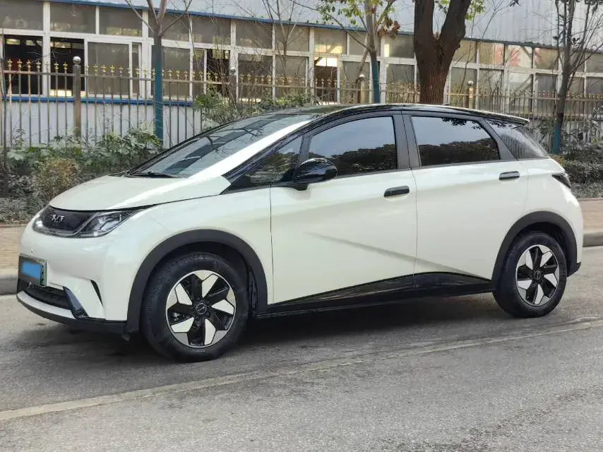 2024 BYD Dolphin BEV 44.928KWH