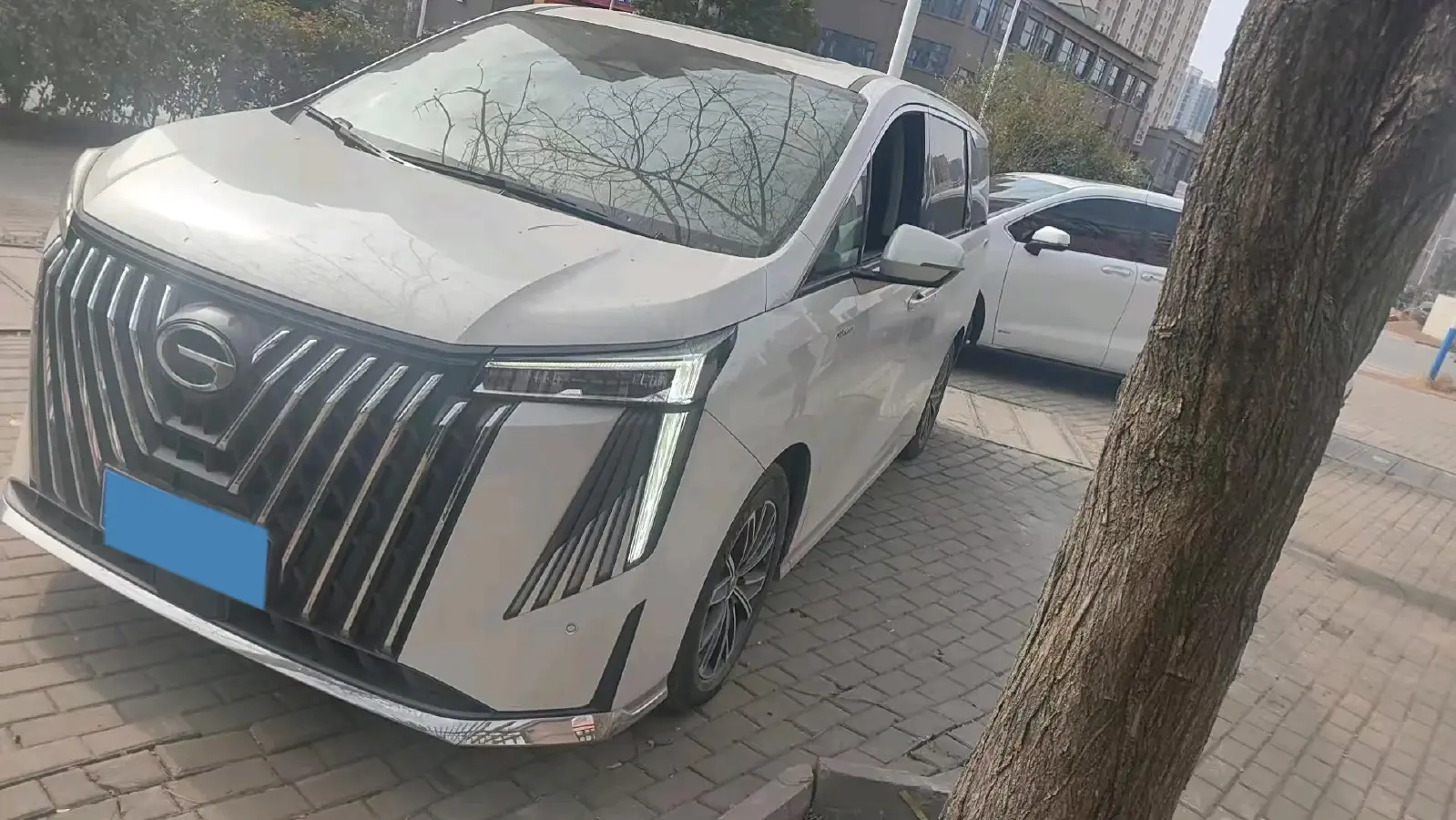 2024 GAC Trumpchi M8 2.0T 190HP L4 2DHT Hybrid