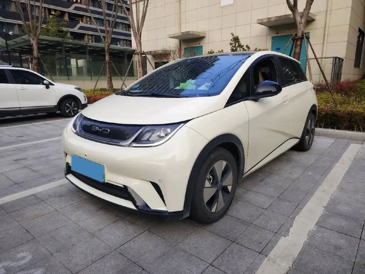 2023 BYD Dolphin BEV 44.928KWH