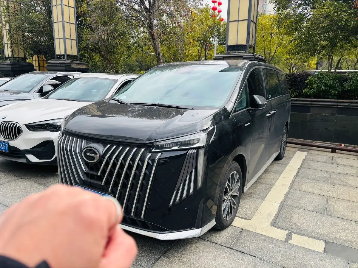 2024 GAC Trumpchi M8 2.0T 252HP L4 8AT