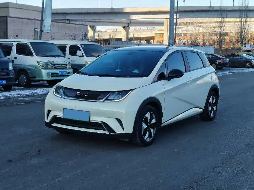 2024 BYD Dolphin BEV 32.256KWH