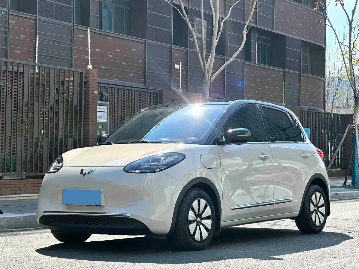 2024 WuLing BinGuo BEV 31.9KWH