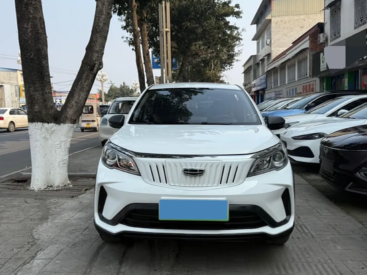2021 WuLing Nano EV BEV 28KWH,autocango,china used car exporter,china ev exporter,chinese used car exporter,chinese used ev exporter