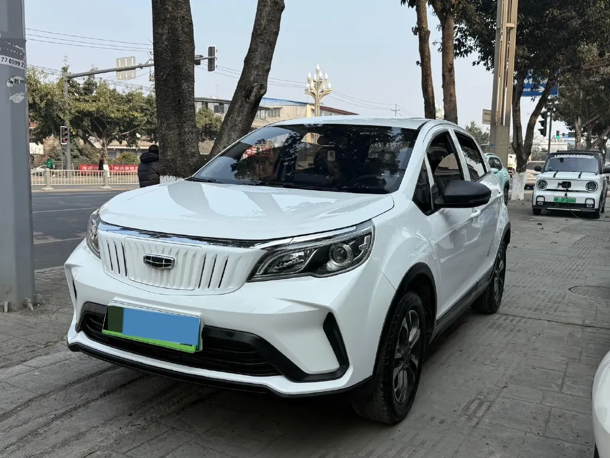 2021 WuLing Nano EV BEV 28KWH,autocango,china used car exporter,china ev exporter,chinese used car exporter,chinese used ev exporter