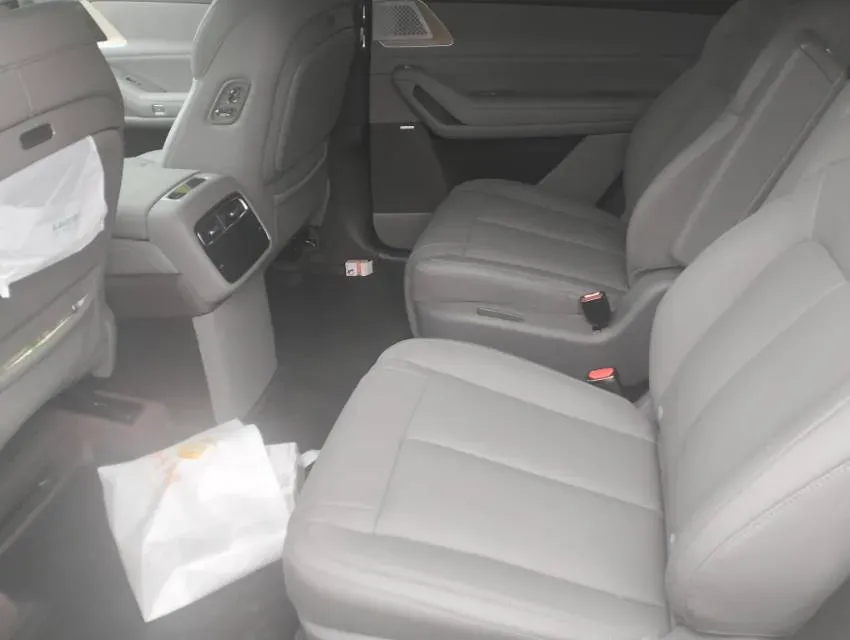 2025 Denza DenzaN8L 2.0T 207HP L4 E-CVT PHEV,autocango,china used car exporter,china ev exporter,chinese used car exporter,chinese used ev exporter