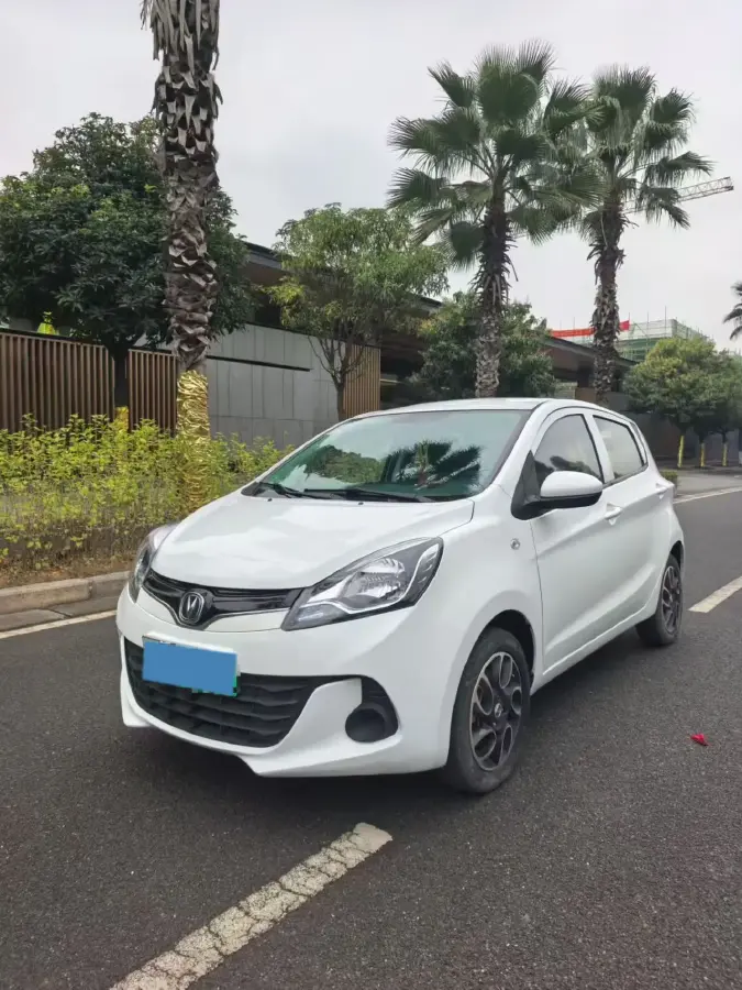 2021 ChangAn BenBen E-Star BEV 31.95KWH