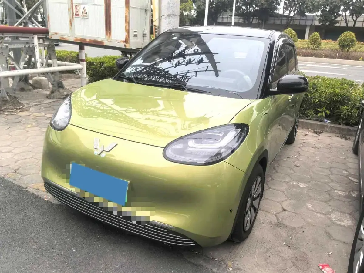2023 WuLing BinGuo BEV 31.9KWH