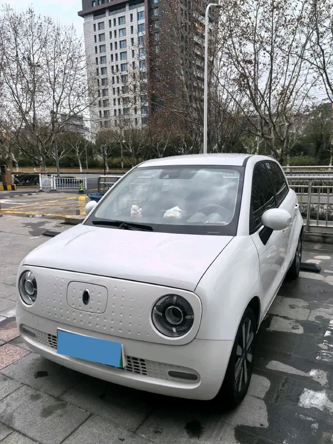 2019 Ora BlackCat BEV 33KWH