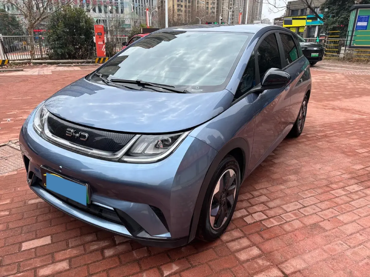 2024 BYD Dolphin BEV 44.928KWH