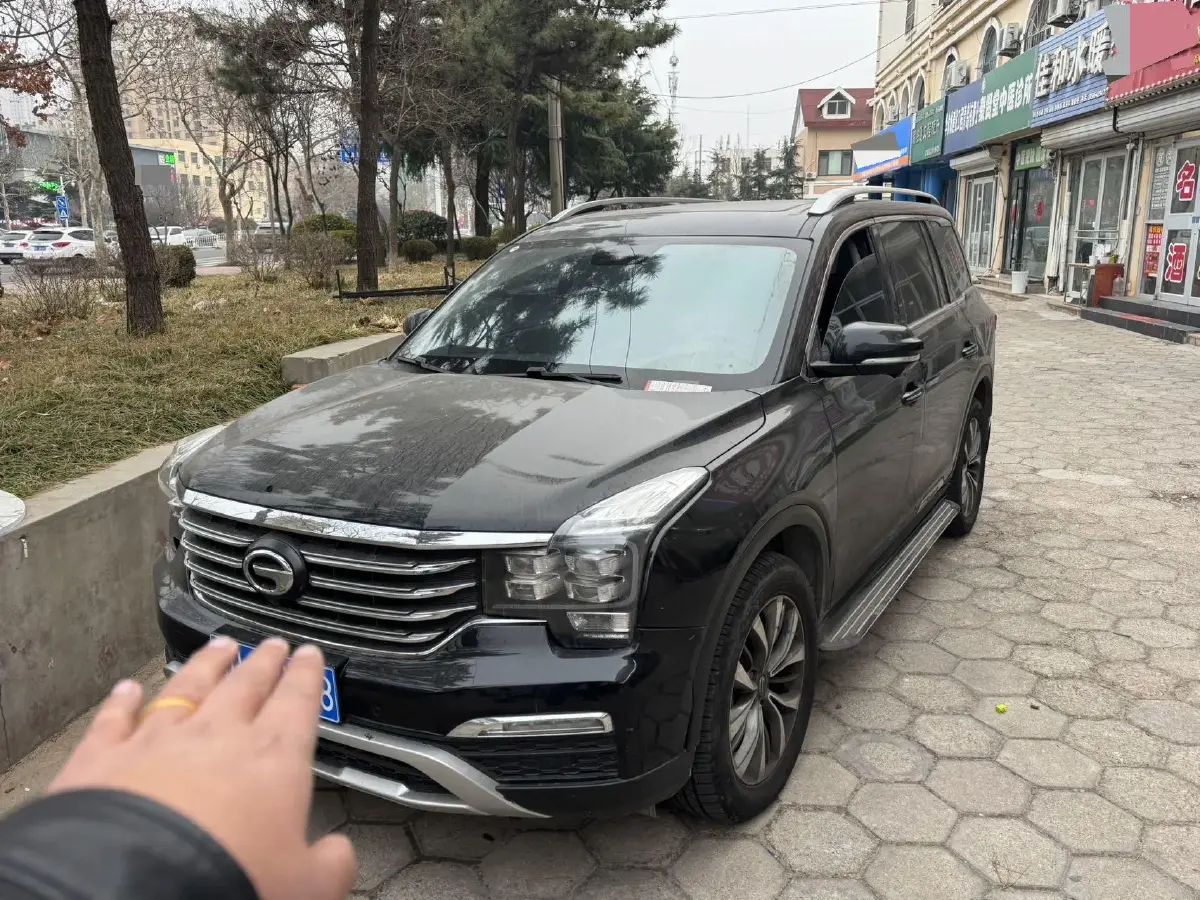 2019 GAC Trumpchi GS8 2.0T 252HP L4 6AT
