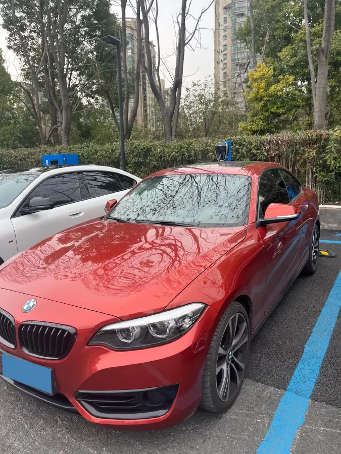 2019 BMW 2 Series 2.0T 184HP L4 8AT