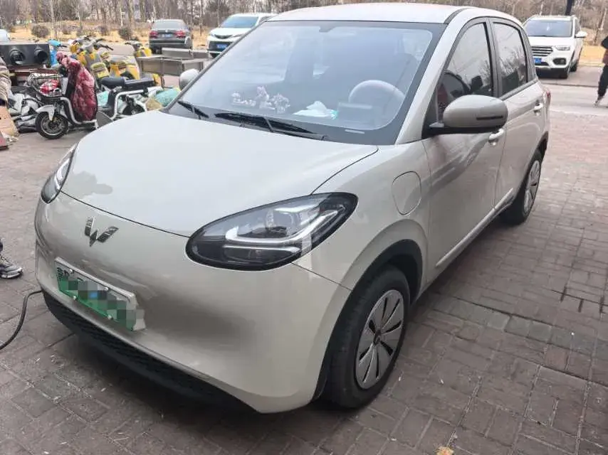 2024 WuLing BinGuo BEV 17.3KWH