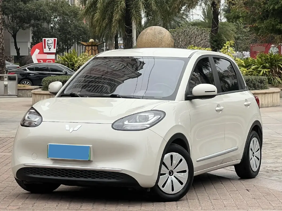 2023 WuLing BinGuo BEV 17.3KWH