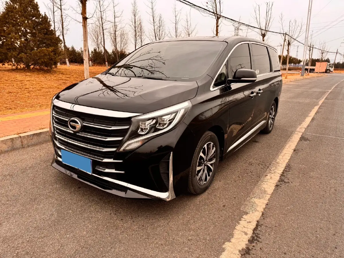 2021 GAC Trumpchi M8 2.0T 252HP L4 8AT