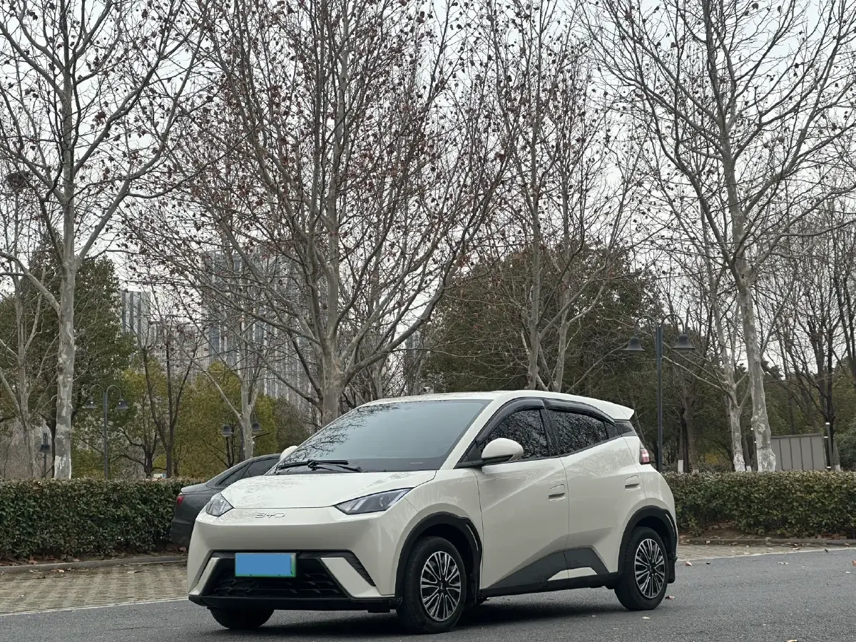 2024 BYD Seagull BEV 30.08KWH