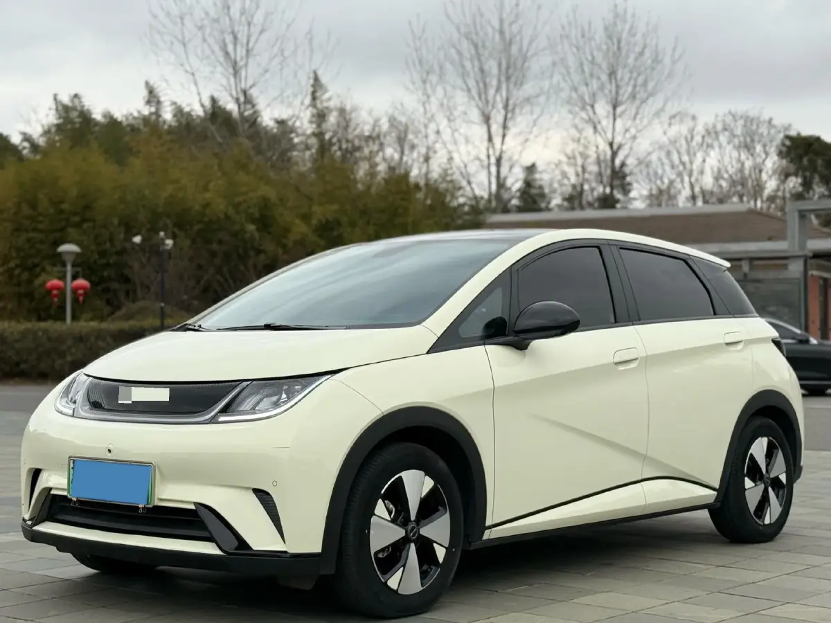 2023 BYD Dolphin BEV 44.928KWH