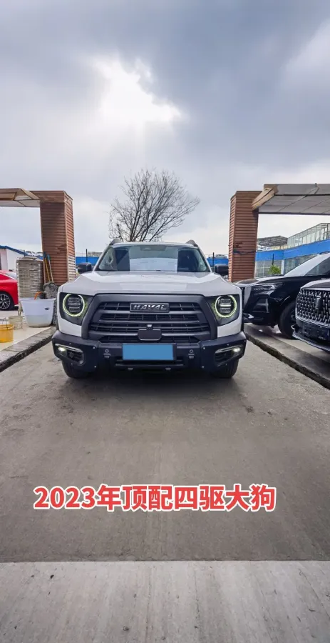 2022 Haval Dargo 2.0T 211HP L4 7DCT,autocango,china used car exporter,china ev exporter,chinese used car exporter,chinese used ev exporter