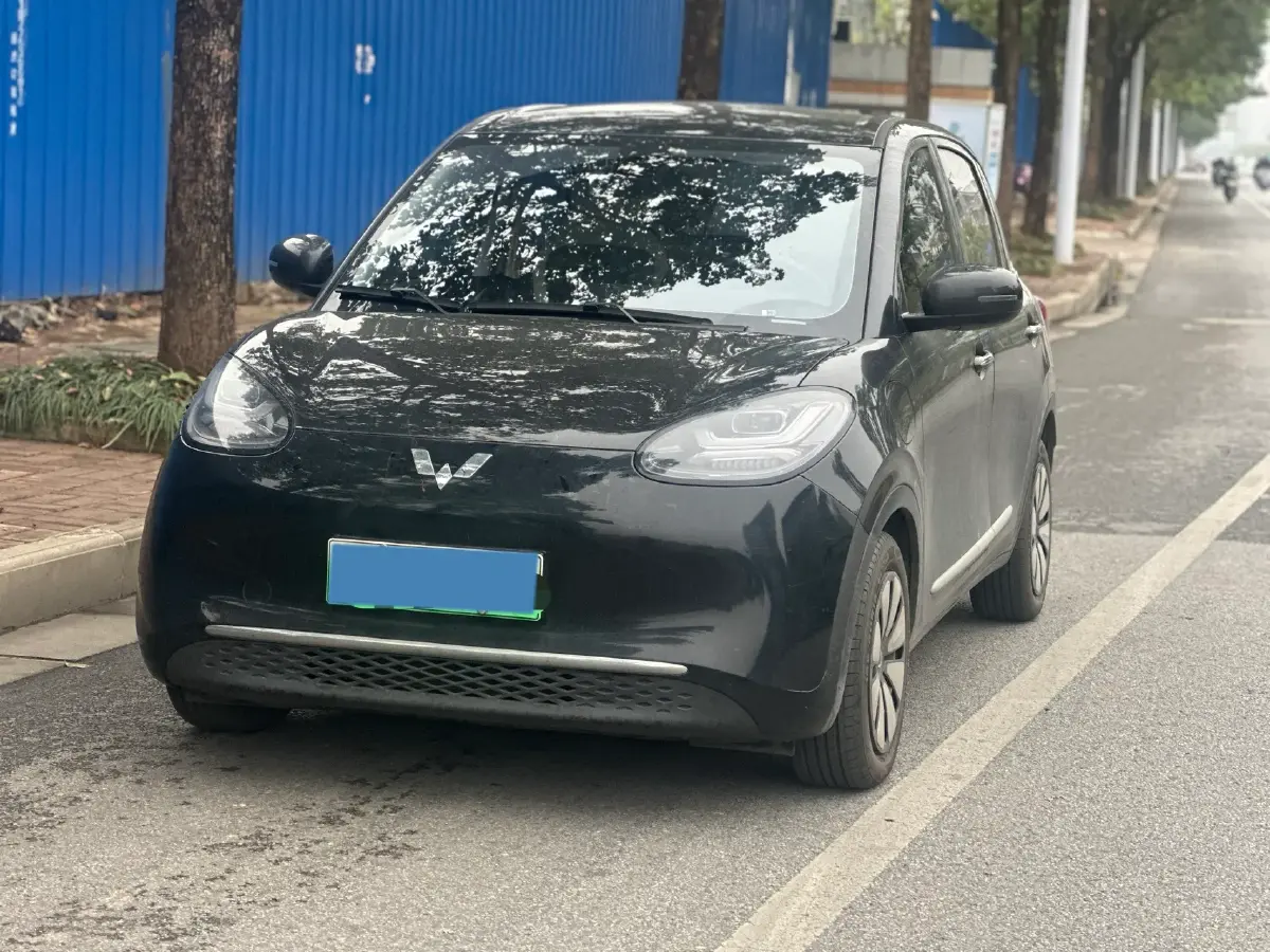 2023 WuLing BinGuo BEV 31.9KWH