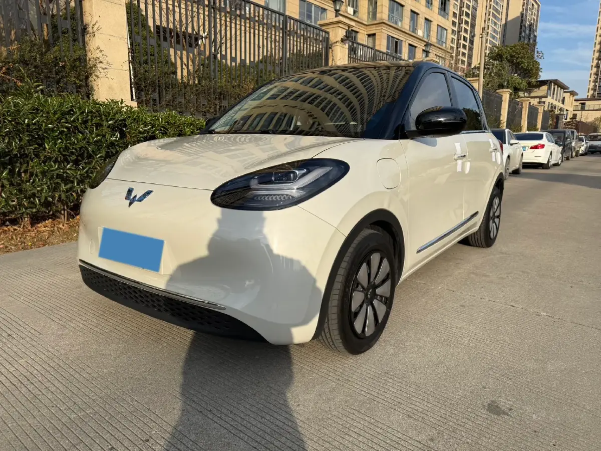 2024 WuLing BinGuo BEV 31.9KWH