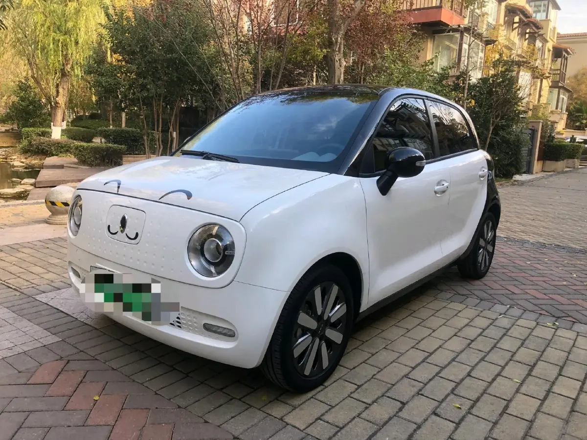 2022 Ora BlackCat BEV 33KWH