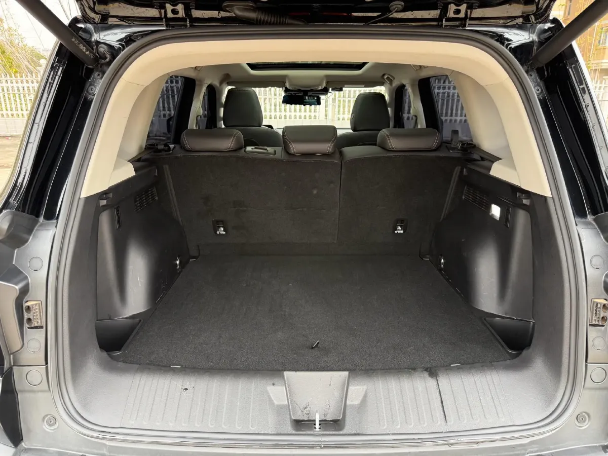 2024 Haval Dargo 2.0T 238HP L4 9DCT,autocango,china used car exporter,china ev exporter,chinese used car exporter,chinese used ev exporter