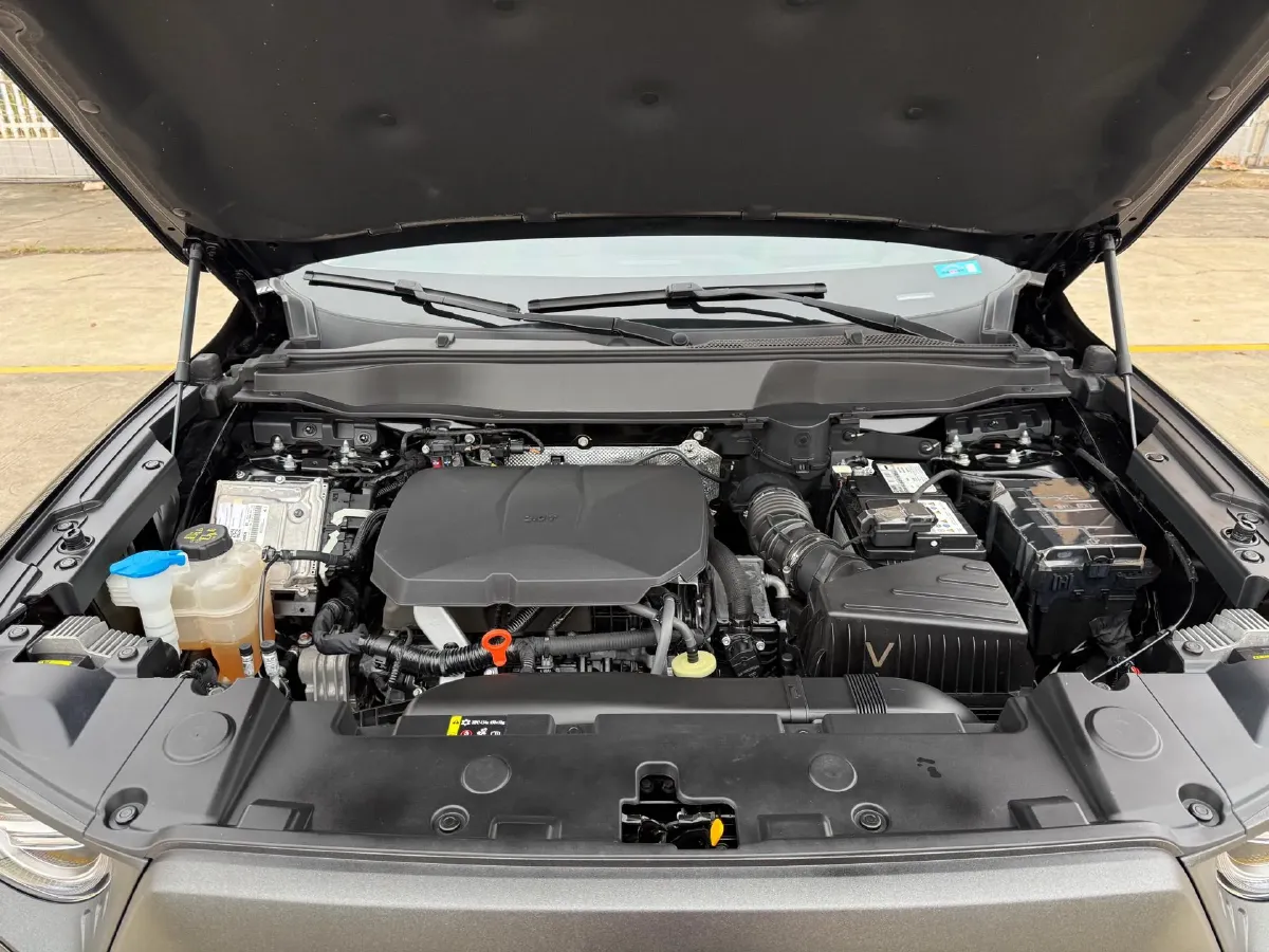 2024 Haval Dargo 2.0T 238HP L4 9DCT,autocango,china used car exporter,china ev exporter,chinese used car exporter,chinese used ev exporter