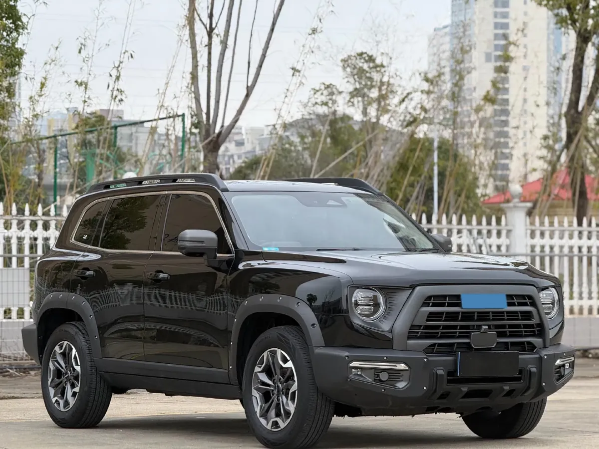 2024 Haval Dargo 2.0T 238HP L4 9DCT,autocango,china used car exporter,china ev exporter,chinese used car exporter,chinese used ev exporter