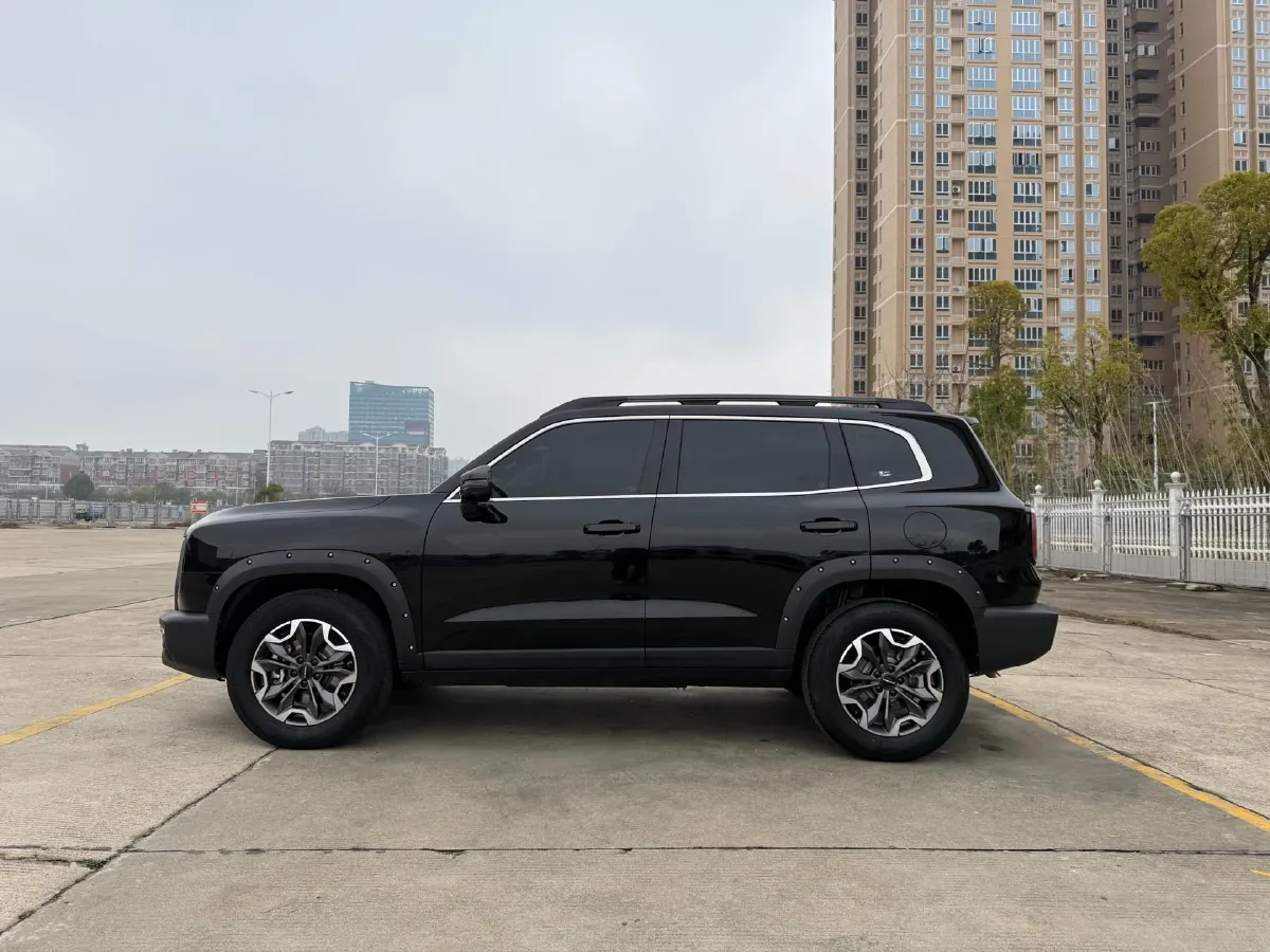 2024 Haval Dargo 2.0T 238HP L4 9DCT,autocango,china used car exporter,china ev exporter,chinese used car exporter,chinese used ev exporter