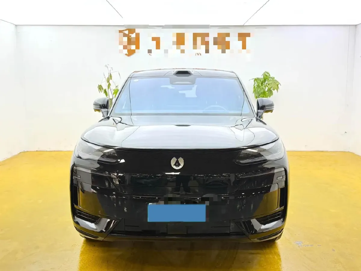 2025 Denza DenzaN9 2.0T 207HP L4 E-CVT PHEV,autocango,china used car exporter,china ev exporter,chinese used car exporter,chinese used ev exporter