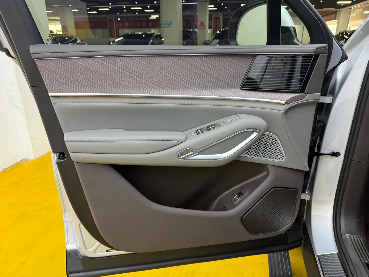 2025 Denza DenzaN9 2.0T 207HP L4 E-CVT PHEV,autocango,china used car exporter,china ev exporter,chinese used car exporter,chinese used ev exporter