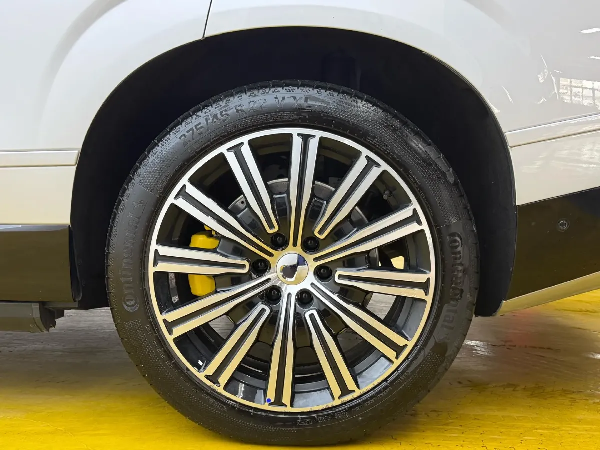 2025 Denza DenzaN9 2.0T 207HP L4 E-CVT PHEV,autocango,china used car exporter,china ev exporter,chinese used car exporter,chinese used ev exporter