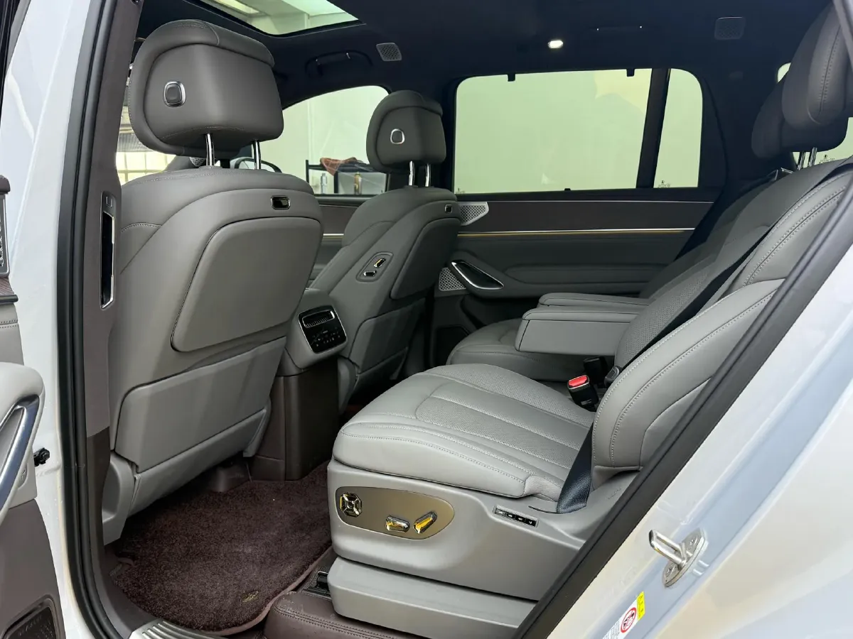 2025 Denza DenzaN9 2.0T 207HP L4 E-CVT PHEV,autocango,china used car exporter,china ev exporter,chinese used car exporter,chinese used ev exporter